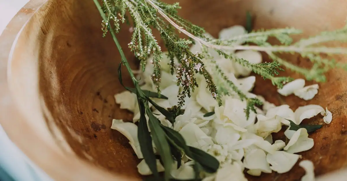 Maquillage bio : Guide d'achat pour un look naturel et sain