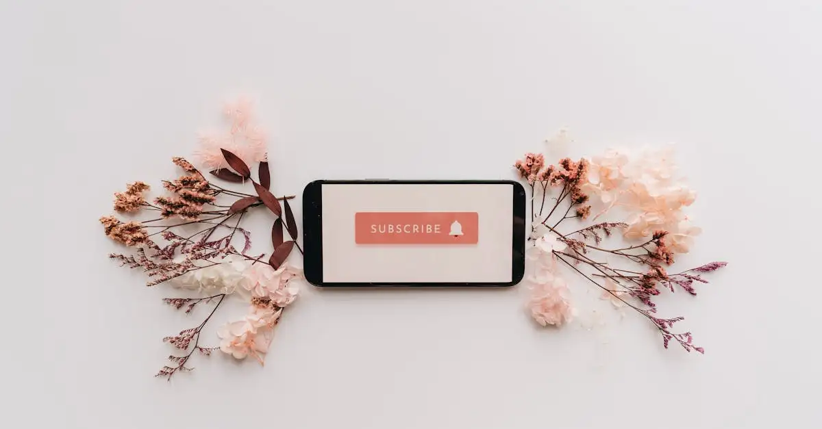 Nuoo Box : Découvrez votre box beauté naturelle et bio