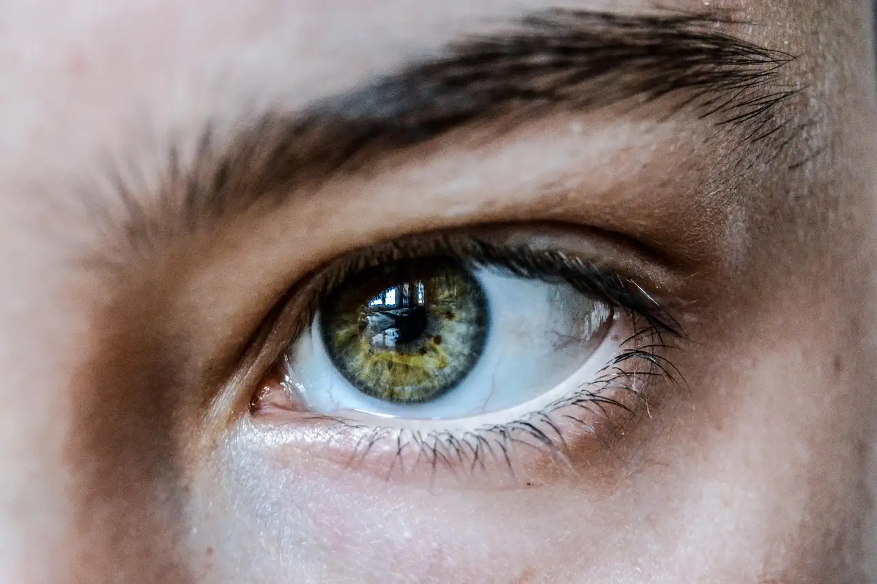Épilation des sourcils : les techniques pour un résultat parfait