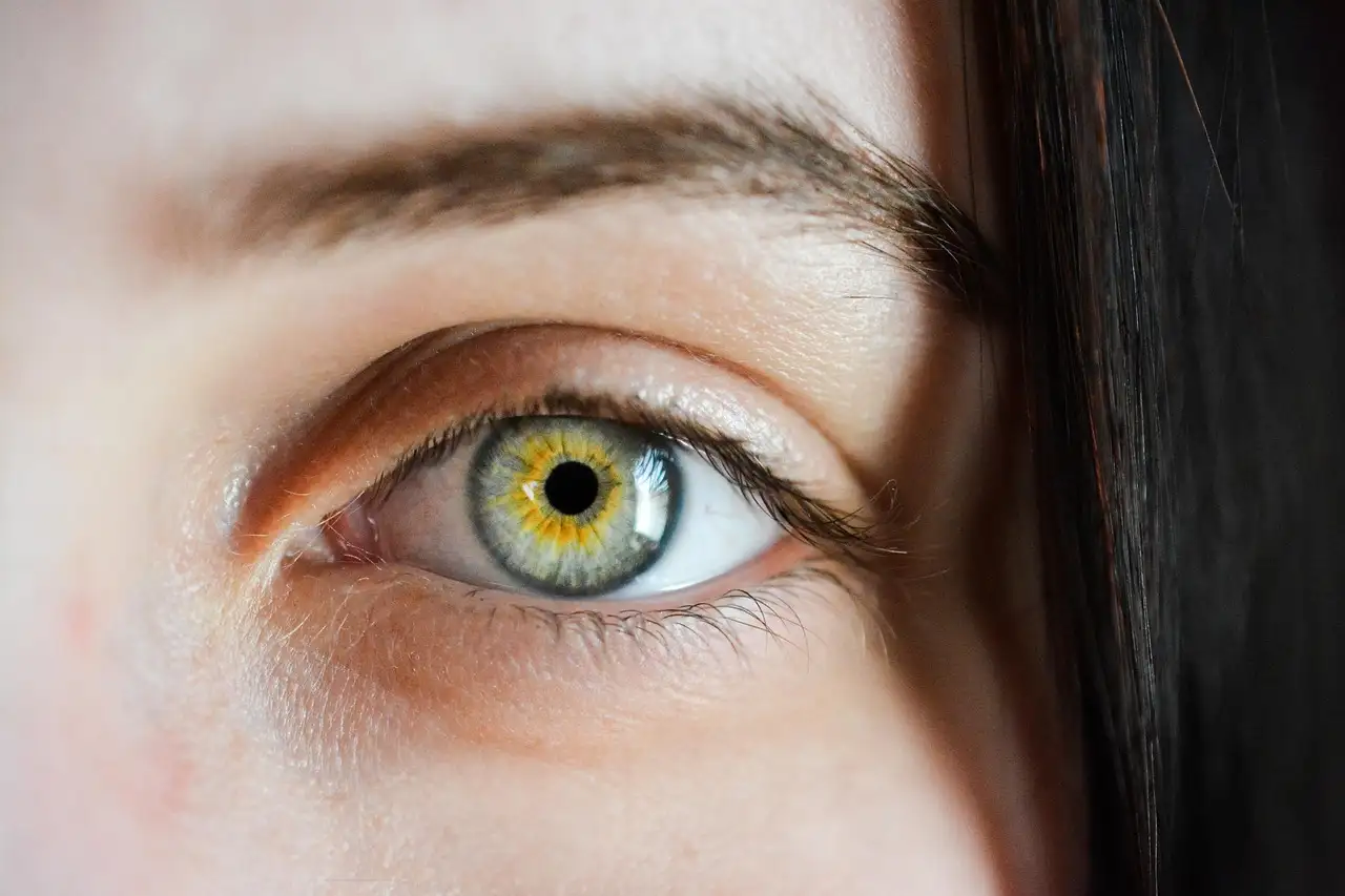 RevitaLash Sourcils : Guide complet pour des sourcils plus épais